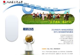 四川雅安网络营销策划第一站 打造成功的单位组织网站建设与推广